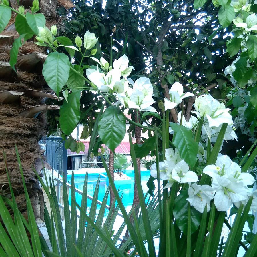 Aragorn Paradise Garden 莫拉蒂卡 外观 照片